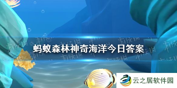 哪种海洋生物有“海里的含羞草”之称  神奇海洋12月5日答案最新