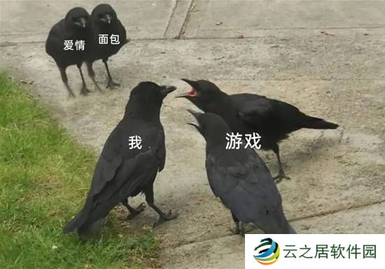 本站