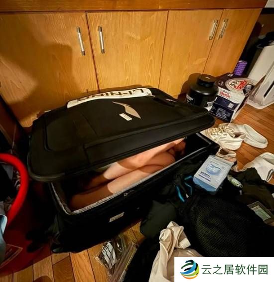 本站